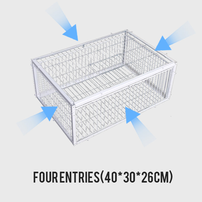 AutoTrap Bird Cage - Solo input, nessuna output