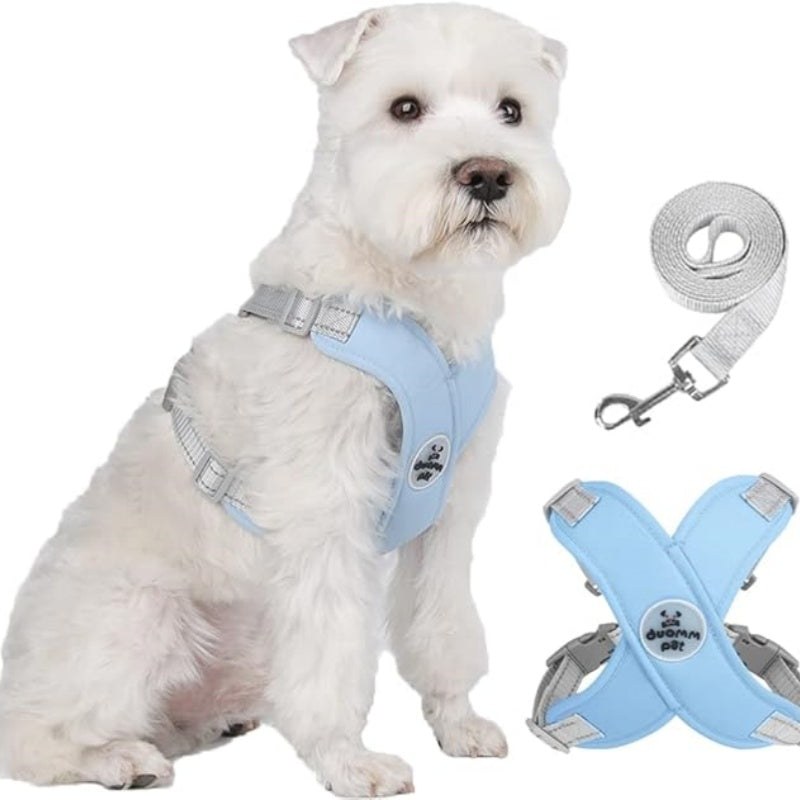 🥳HEISSER SALE 2026🥳💞50.000+ VERKAUFT!👵 X-förmiges Anti-Zug-Hundegeschirr-Set mit Leine