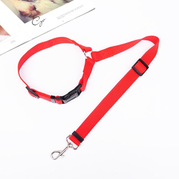 🐶🚗🔥 50% RABATT! Auto-Hundeleine – einstellbar, sicher & perfekt für jede Fahrt ✨