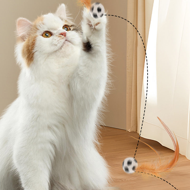 🔥Solange der Vorrat reicht 40 % Rabatt!🎉Interaktiver Katzen-Hüpfball mit Feder