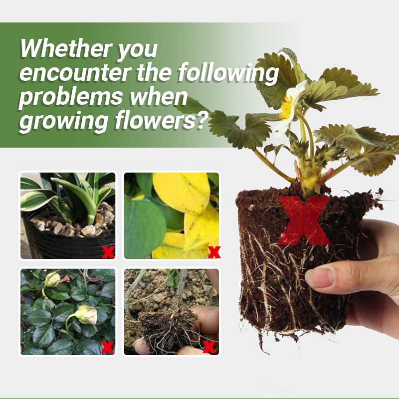 Pousbo® Fertilizante orgánico de harina de hueso especial: promueve el crecimiento de flores y frutas