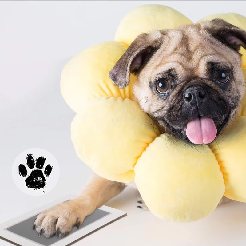 🔥Solange der Vorrat reicht 40 % Rabatt!🐶Haustier-Pfotenabdruck-Set🐾🐾