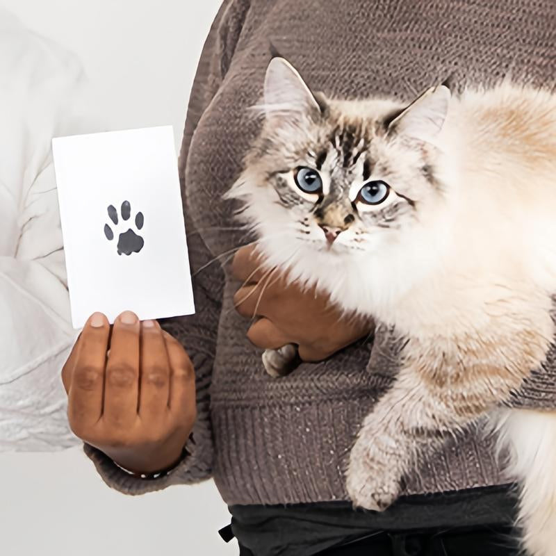🔥Solange der Vorrat reicht 40 % Rabatt!🐶Haustier-Pfotenabdruck-Set🐾🐾