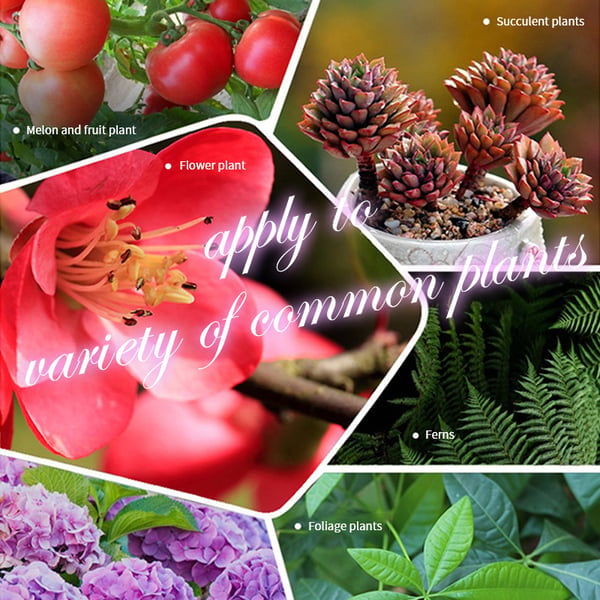 2025 Blumen glücklich machen – ganz ohne Aufwand!Bio-Dünger Tabletten | Langzeitwirkung für üppige Pflanzen | 50% Rabatt 🌱