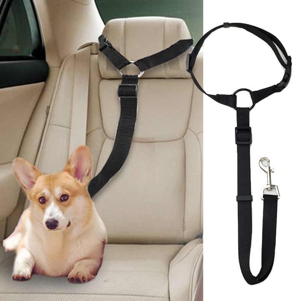 🐶🚗🔥 50% RABATT! Auto-Hundeleine – einstellbar, sicher & perfekt für jede Fahrt ✨