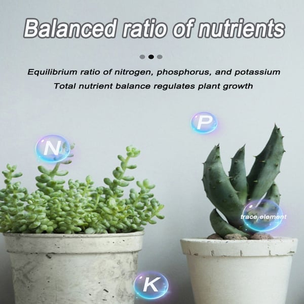 2025 Blumen glücklich machen – ganz ohne Aufwand!Bio-Dünger Tabletten | Langzeitwirkung für üppige Pflanzen | 50% Rabatt 🌱