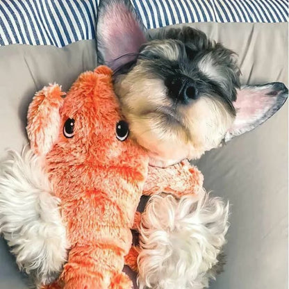 🐶Hummer interaktiv hundeleke