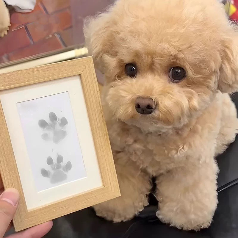 🔥Solange der Vorrat reicht 40 % Rabatt!🐶Haustier-Pfotenabdruck-Set🐾🐾