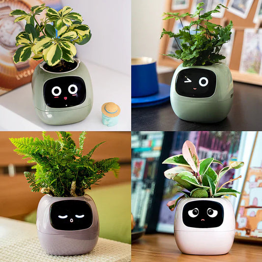 Rolig smart blomkruka med flera uttryck, växtfria