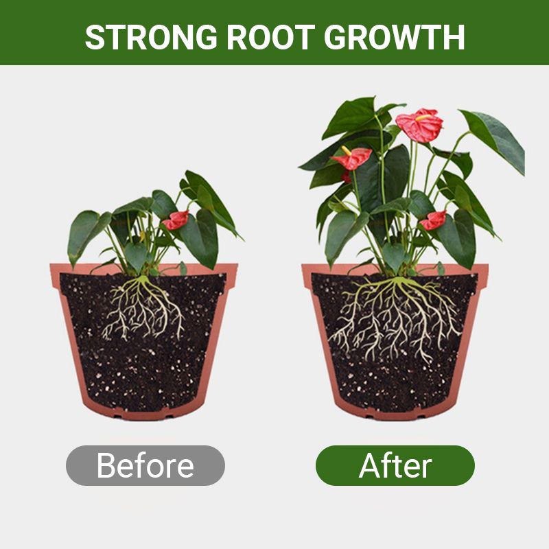 Pousbo® Fertilizante orgánico de harina de hueso especial: promueve el crecimiento de flores y frutas