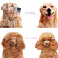 🐶🐱 KAUFE 2, ERHALTE 1 GRATIS! Professionelles Enthaarungs-Tool für Hunde & Katzen – Entfernt lose Haare effektiv, sanft zur Haut & einfache Reinigung ✨