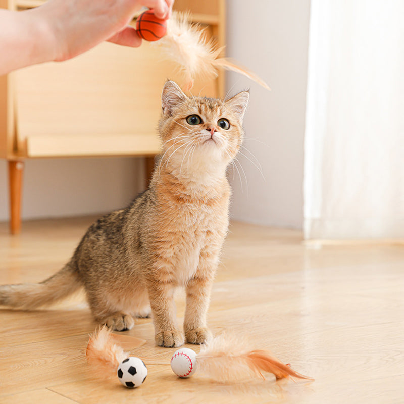 🔥Solange der Vorrat reicht 40 % Rabatt!🎉Interaktiver Katzen-Hüpfball mit Feder