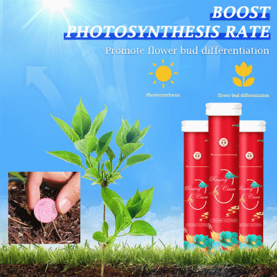 2025 Blumen glücklich machen – ganz ohne Aufwand!Bio-Dünger Tabletten | Langzeitwirkung für üppige Pflanzen | 50% Rabatt 🌱