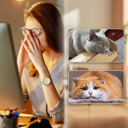 🔥Solange der Vorrat reicht 40 % Rabatt!🎉Interaktiver Katzen-Hüpfball mit Feder