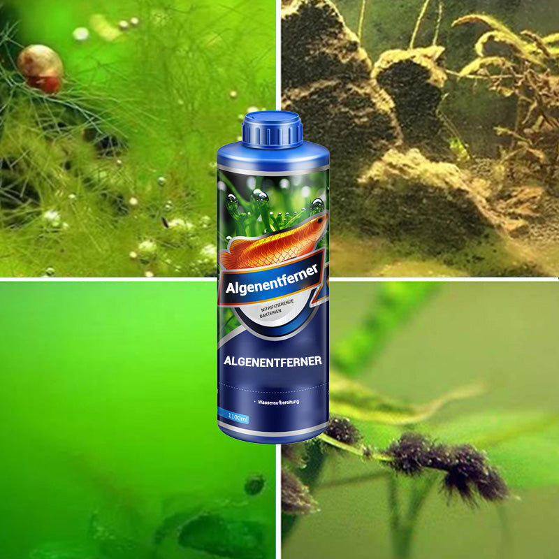 🔥Врућа распродаја🔥Лудо средство за уклањање водених алги за Algae King