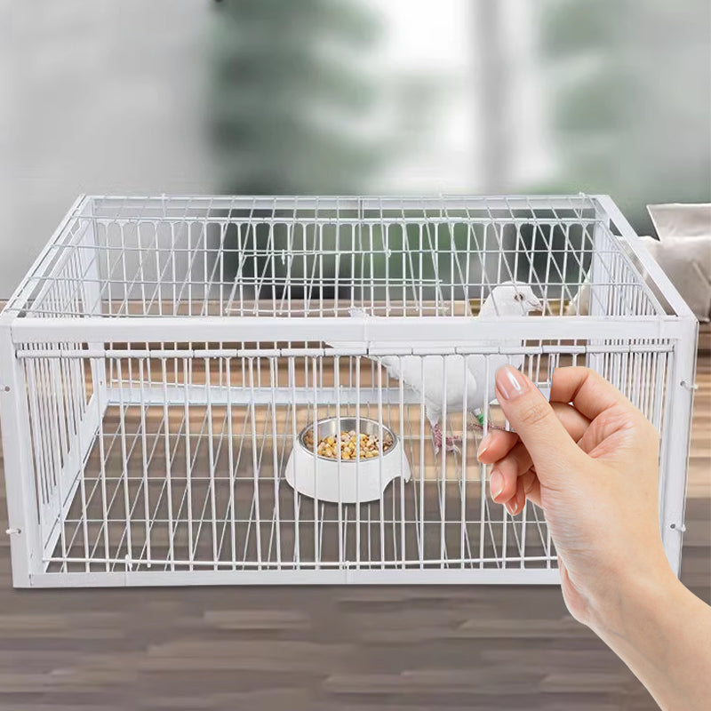 AutoTrap Bird Cage - Solo input, nessuna output