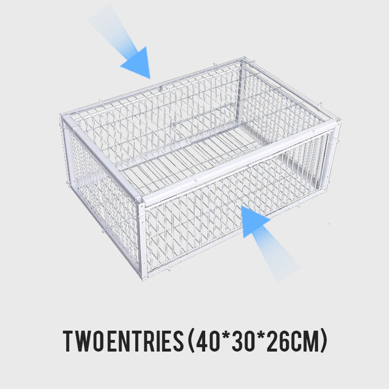 AutoTrap Bird Cage - Solo input, nessuna output