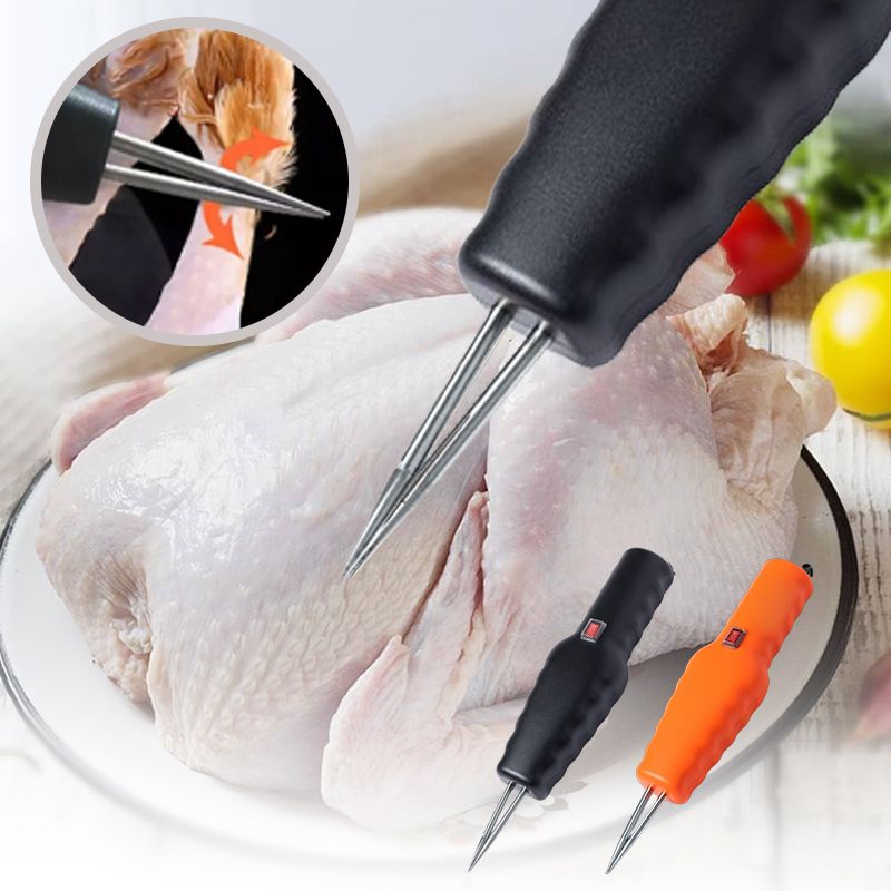 Pollo elettrico