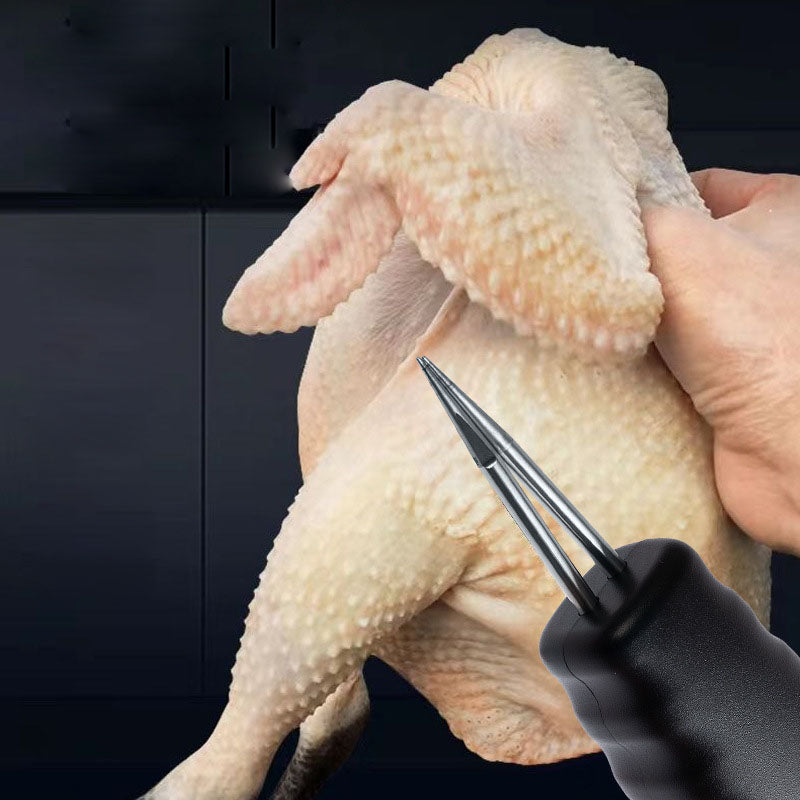 Pollo elettrico