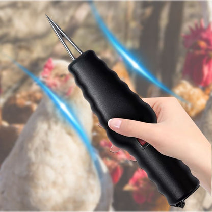 Pollo elettrico