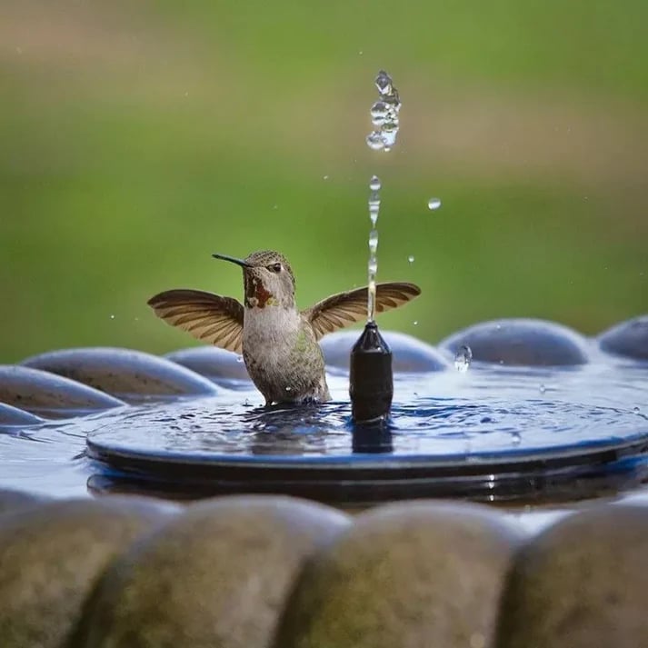 💧JETZT 50 % RABATT! ☀️ Solarbetriebene Springbrunnen-Vogeltränke-Pumpe – 1,4-W-Solarpanel, 4 Düsen & Tauchpumpe für Teich, Garten & Pool 🐦