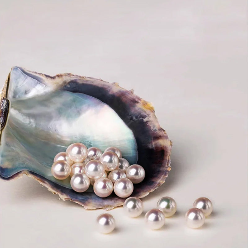 🎄Christmas gift recommendation🎁✨High quality, exquisite, handmade pearl brooch for women