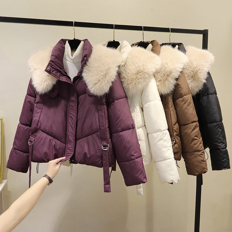 ❄️Offerte invernali❄️ Giacca corta calda da donna con collo a sbuffo e cerniera completa