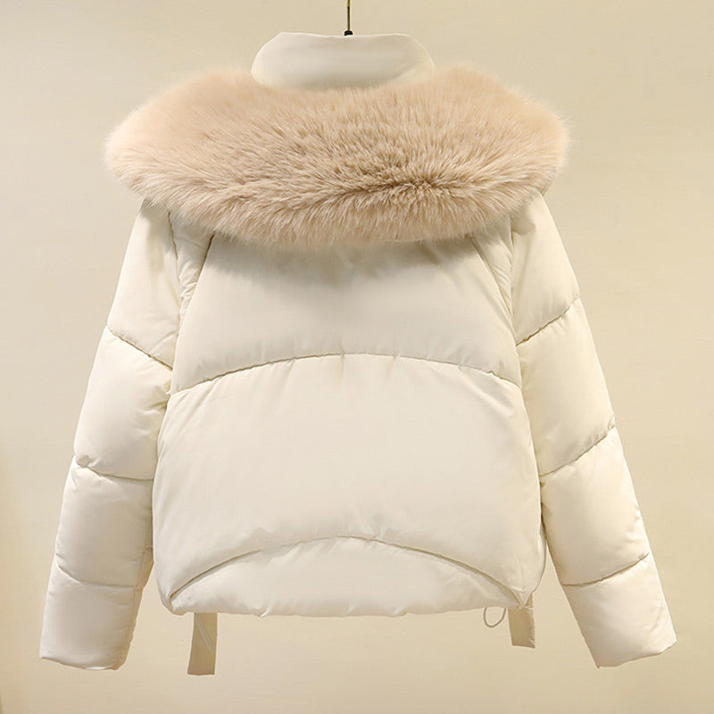 ❄️Offerte invernali❄️ Giacca corta calda da donna con collo a sbuffo e cerniera completa