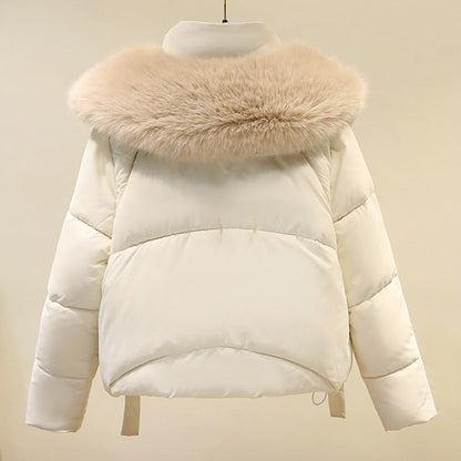 ❄️Offerte invernali❄️ Giacca corta calda da donna con collo a sbuffo e cerniera completa