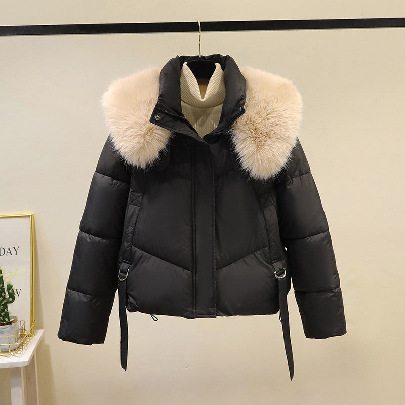 ❄️Offerte invernali❄️ Giacca corta calda da donna con collo a sbuffo e cerniera completa