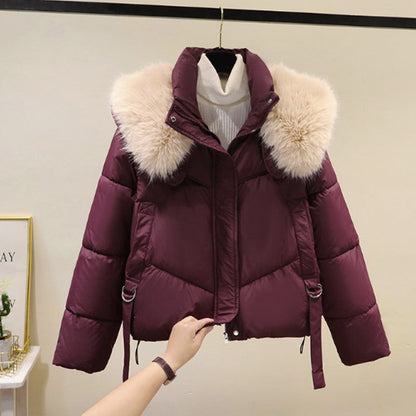 ❄️Offerte invernali❄️ Giacca corta calda da donna con collo a sbuffo e cerniera completa