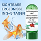 ⏳Begrenzte Zeit 50% Rabatt💥🚀Kaufen 3 und erhalten 5 gratis♻️💧Leistungsstarke Wasserreinigungstablette für Aquarien