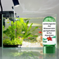 ⏳Begrenzte Zeit 50% Rabatt💥🚀Kaufen 3 und erhalten 5 gratis♻️💧Leistungsstarke Wasserreinigungstablette für Aquarien