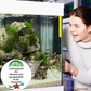 ⏳Begrenzte Zeit 50% Rabatt💥🚀Kaufen 3 und erhalten 5 gratis♻️💧Leistungsstarke Wasserreinigungstablette für Aquarien