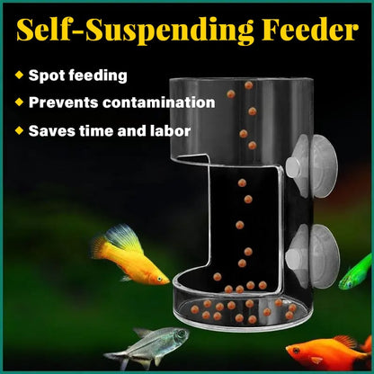 ⏳Begrenzte Zeit 50% Rabatt💥🐟Aquarien-Futterring und Schale