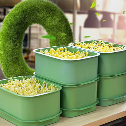 🌱💚Stapelbar bönsänka - odlingslåda