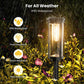🎉Hot Sale 50% OFF✨Solar path lighting for outdoors