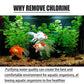 Fischteiche Aquarien Chlorentfernungstabletten