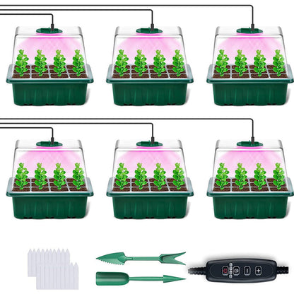 💎50 % RABATT! 💎 Anzuchtschalen mit Pflanzenlampe – Feuchtigkeitsregulierung, transparentes Vollspektrumlicht 🌱💡