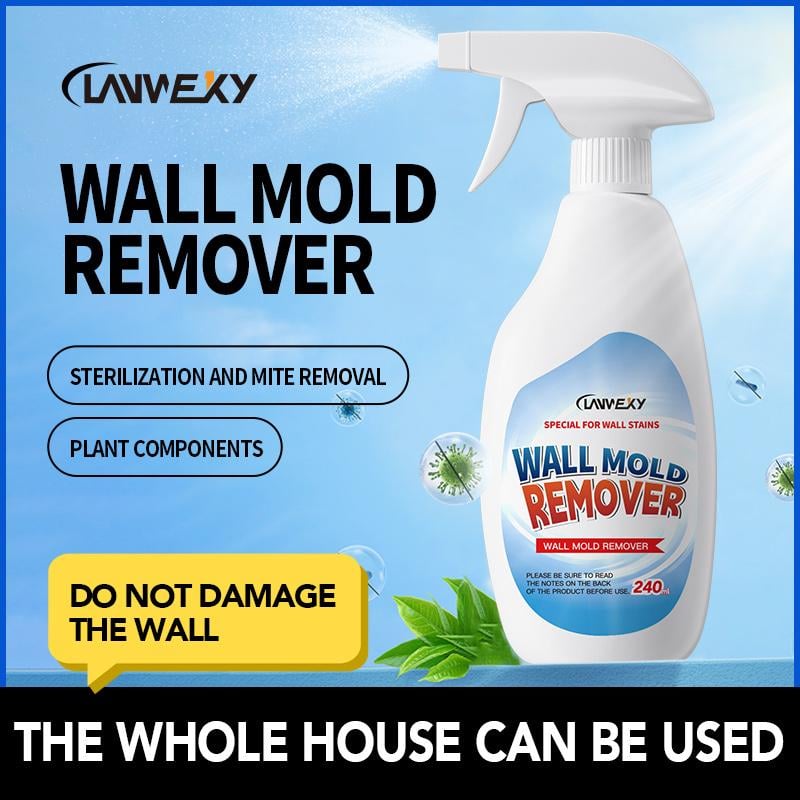 🔥AKTION 50 % RABATT –🏡Hochwirksames Spray zur Schimmelentfernung