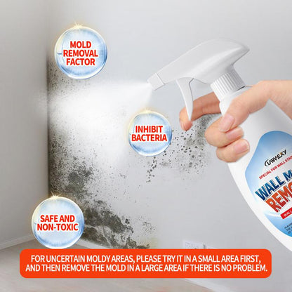 🔥AKTION 50 % RABATT –🏡Hochwirksames Spray zur Schimmelentfernung