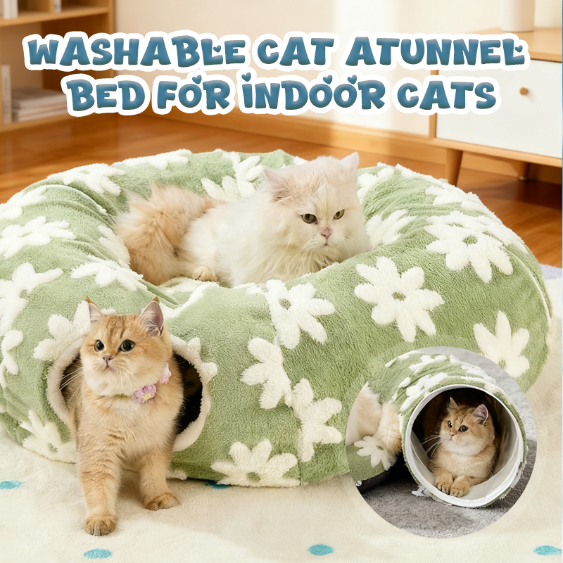 Waschbares Katzen-Tunnelbett für Wohnungskatzen