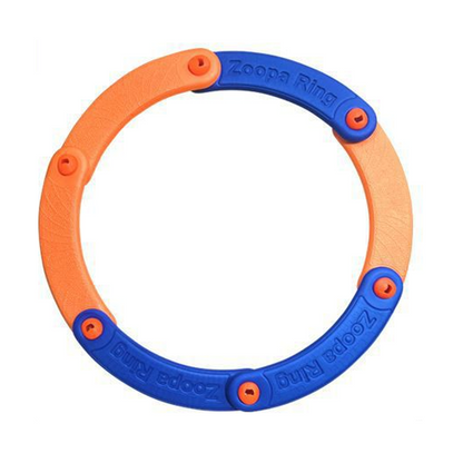 🔥Solange der Vorrat reicht 40 % Rabatt!🎮 Modulares Pfeifenring-Spielzeug