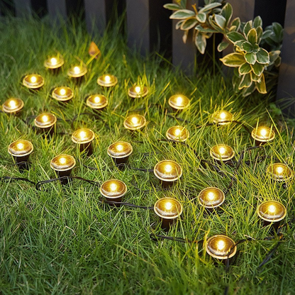 🔥Solange der Vorrat reicht 40 % Rabatt!🎉Solarbetriebene Gartenwegleuchten