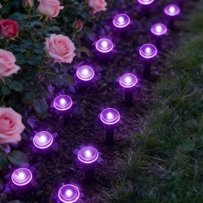 🔥Solange der Vorrat reicht 40 % Rabatt!🎉Solarbetriebene Gartenwegleuchten