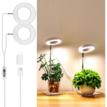 🔥Solange der Vorrat reicht 40 % Rabatt!🎉LED-Engelsring-Pflanzenwachstumslampe