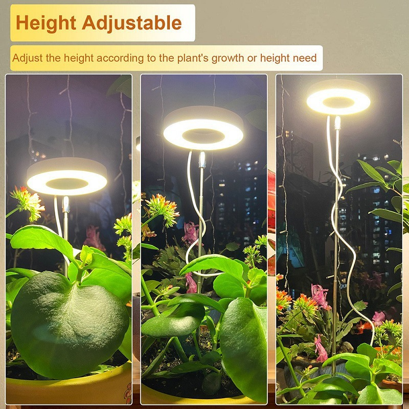 🔥Solange der Vorrat reicht 40 % Rabatt!🎉LED-Engelsring-Pflanzenwachstumslampe