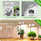 🔥Solange der Vorrat reicht 40 % Rabatt!🎉LED-Engelsring-Pflanzenwachstumslampe