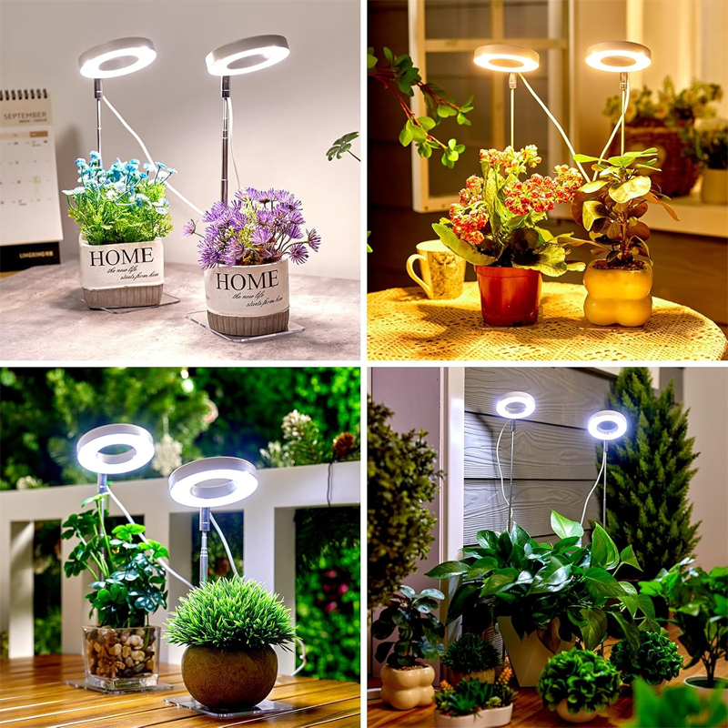 🔥Solange der Vorrat reicht 40 % Rabatt!🎉LED-Engelsring-Pflanzenwachstumslampe