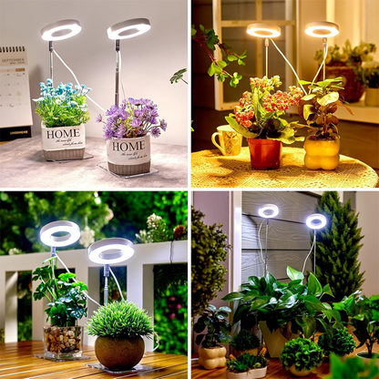🔥Solange der Vorrat reicht 40 % Rabatt!🎉LED-Engelsring-Pflanzenwachstumslampe